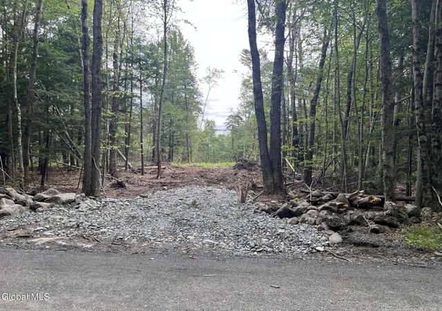Homes for sale in Grafton, NY | 162 Crandall Rd, Grafton, NY 12138 | MLS# 202620782