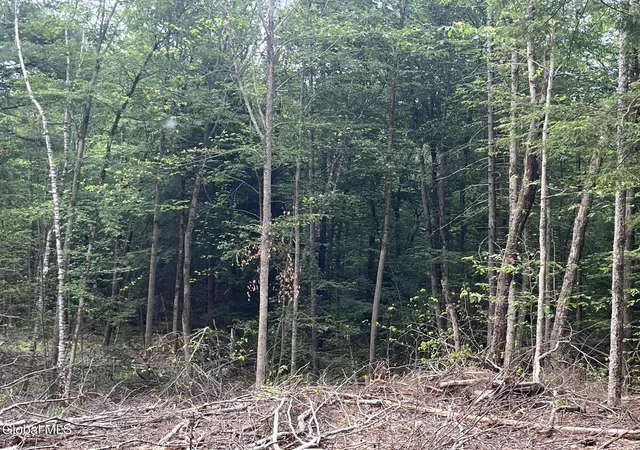 Homes for sale in Grafton, NY | 162 Crandall Rd, Grafton, NY 12138 | MLS# 202620782