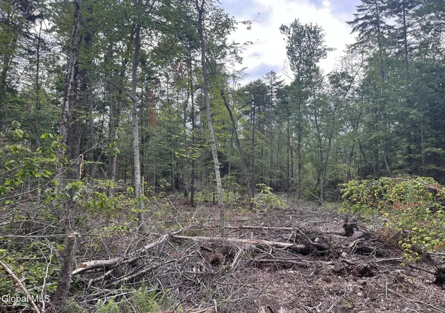 Homes for sale in Grafton, NY | 162 Crandall Rd, Grafton, NY 12138 | MLS# 202620782
