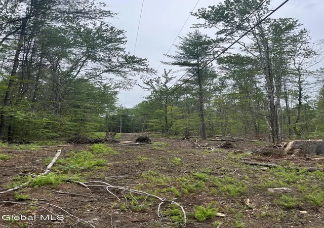 Homes for sale in Grafton, NY | 172 Crandall Rd, Grafton, NY 12138 | MLS# 202620790