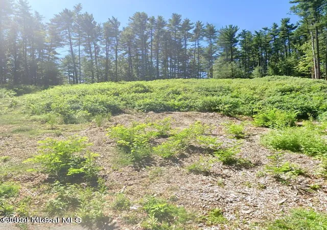 1st image of 5 Woodview Ct, Clifton Park, NY 12019 | MLS# 202620848