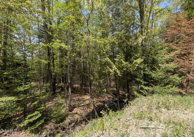 Photo 3 of Land for sale at 360 Igerna Rd, Chester, NY 12853 | MLS# 202621154 | Listing updated on 2026-09-08