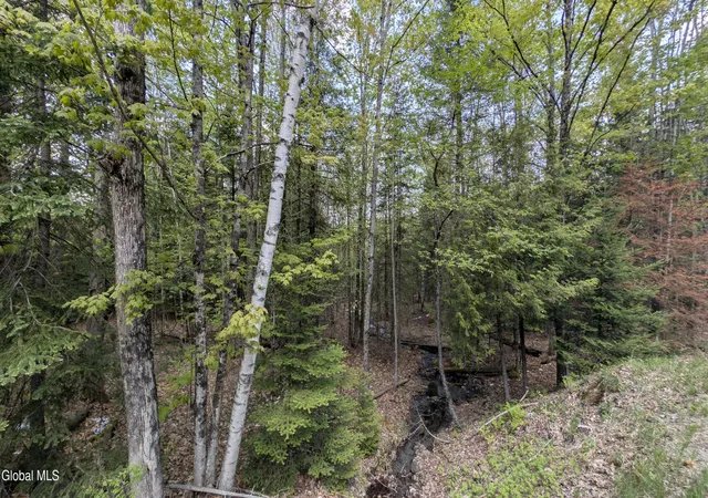 Photo 3 of Land for sale at 360 Igerna Rd, Chester, NY 12853 | MLS# 202621154 | Listing updated on 2026-09-08