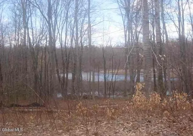 1st image of 1980 Weast Rd, Pattersonville, NY 12137 | MLS# 202620943