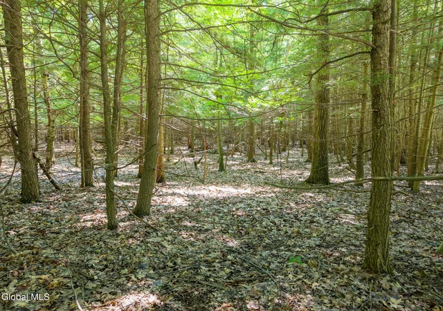 2nd image of L3 Bridge Rd, Middleburgh, NY 12023 | MLS# 202621018