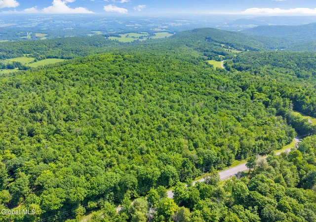 3rd image of L3 Bridge Rd, Middleburgh, NY 12023 | MLS# 202621018