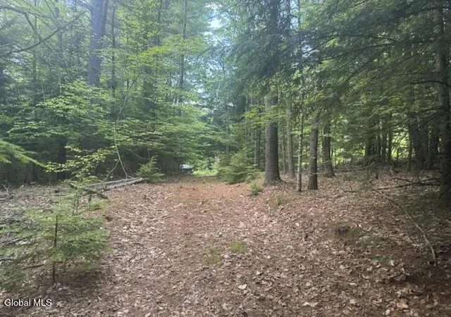 4th image of 317 Waddell Rd, North Creek, NY 12853 | MLS# 202620997