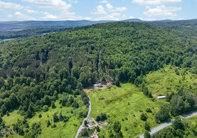 Homes for sale in Summit, NY | 118 Lookout Dr, Summit, NY 12175 | MLS# 202621565