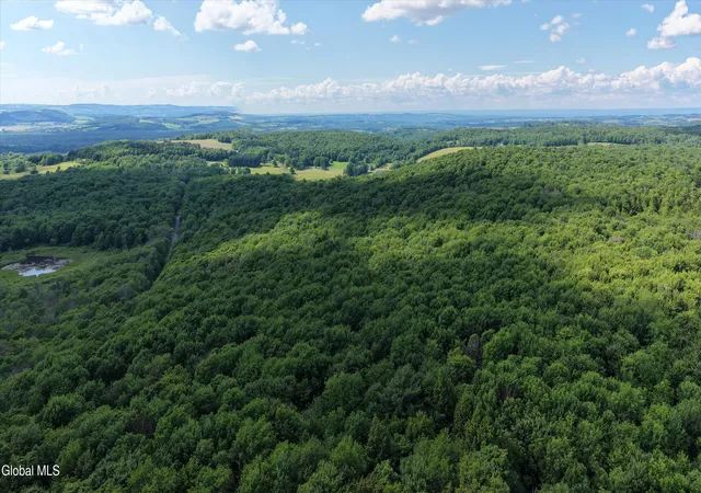 Homes for sale in Sangerfield, NY | L275 Gorton Lake Rd, Sangerfield, NY 13455 | MLS# 202621046