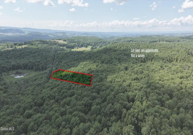 Homes for sale in Sangerfield, NY | L275 Gorton Lake Rd, Sangerfield, NY 13455 | MLS# 202621046