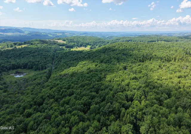 Homes for sale in Sangerfield, NY | L275 Gorton Lake Rd, Sangerfield, NY 13455 | MLS# 202621046