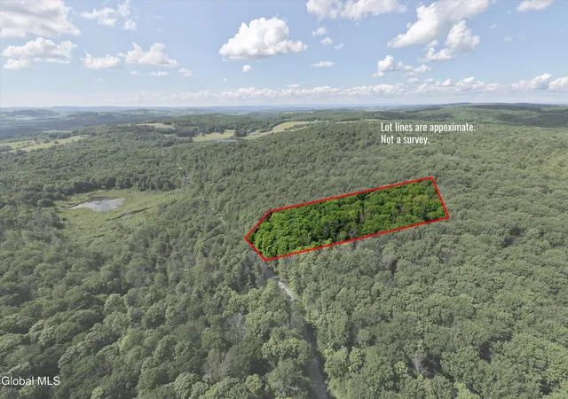 Homes for sale in Sangerfield, NY | L275 Gorton Lake Rd, Sangerfield, NY 13455 | MLS# 202621046