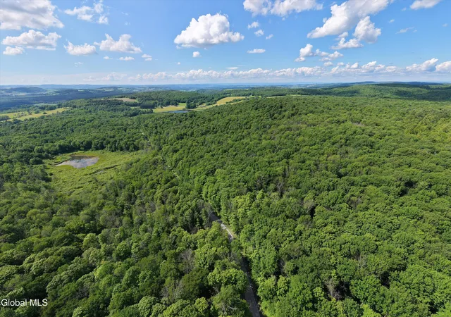 Homes for sale in Sangerfield, NY | L275 Gorton Lake Rd, Sangerfield, NY 13455 | MLS# 202621046