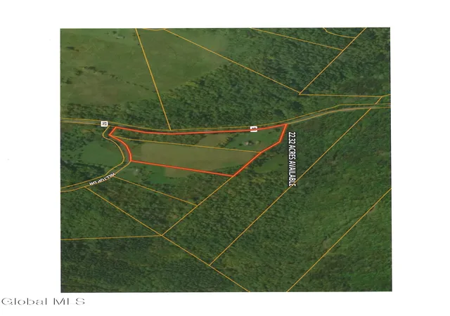 51st image of 1008 Guinea Rd, Middleburgh, NY 12122 | MLS# 202621287