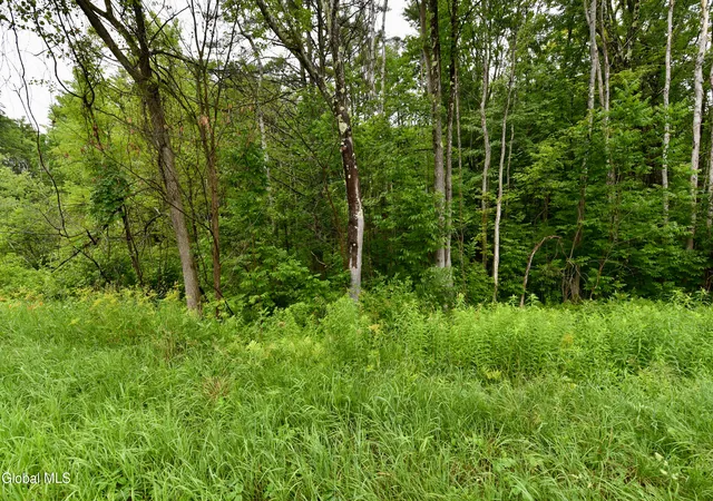 Homes for sale in Greenfield, NY | 3241 Nys Rt 9n, Greenfield, NY 12833 | MLS# 202621312
