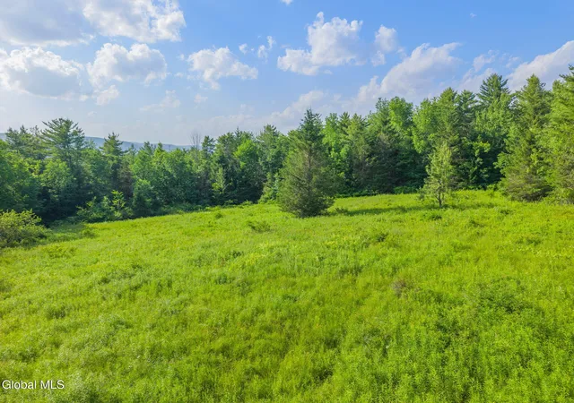1st image of L6 Guinea Rd, Middleburgh, NY 12122 | MLS# 202621288