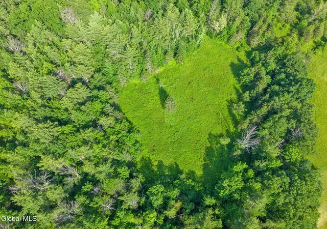 2nd image of L6 Guinea Rd, Middleburgh, NY 12122 | MLS# 202621288