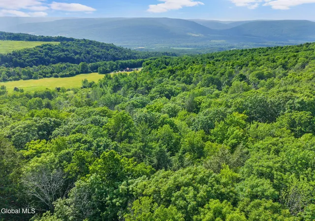 3rd image of L6 Guinea Rd, Middleburgh, NY 12122 | MLS# 202621288