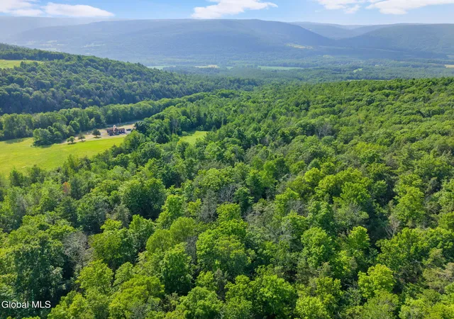 4th image of L6 Guinea Rd, Middleburgh, NY 12122 | MLS# 202621288