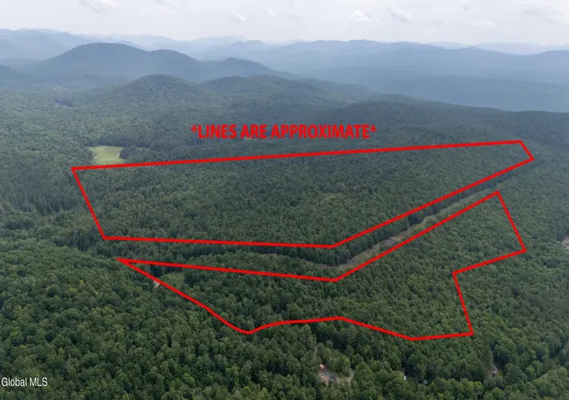 5th image of L50 Gilmantown Rd, Wells, NY 12190 | MLS# 202621197