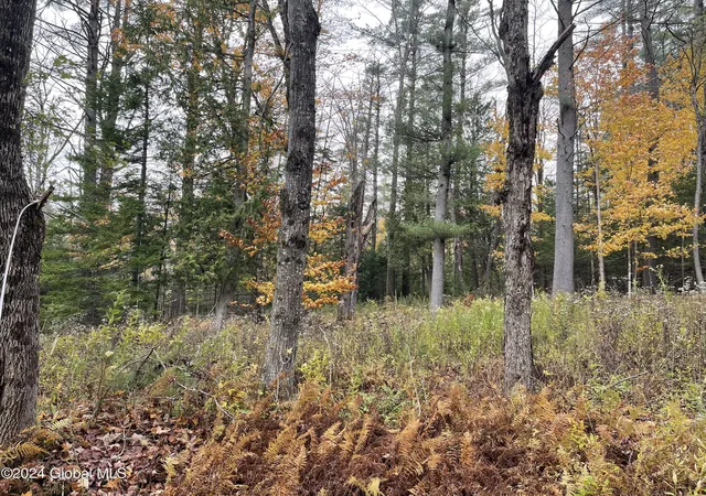 Homes for sale in Minerva, NY | L472 Mallon Rd, Minerva, NY 12857 | MLS# 202621274