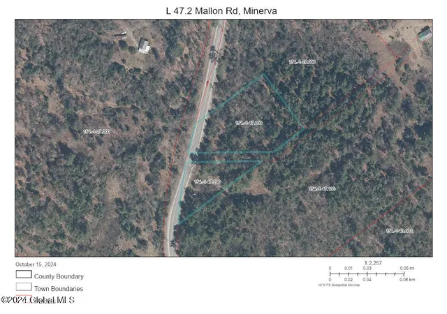 Homes for sale in Minerva, NY | L472 Mallon Rd, Minerva, NY 12857 | MLS# 202621274