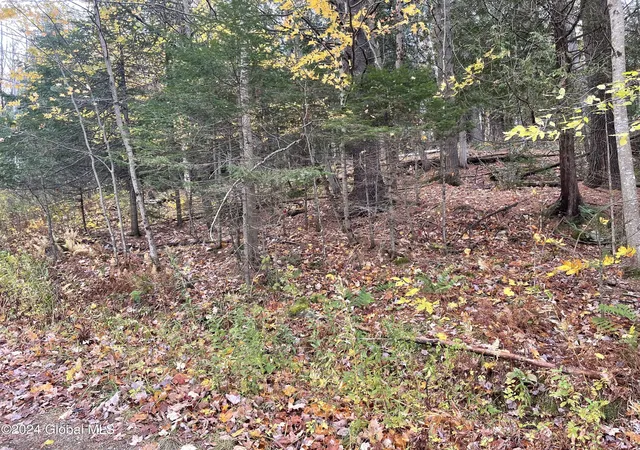 Photo 3 of Land for sale at L472 Mallon Rd, Minerva, NY 12857 | MLS# 202621274 | Listing updated on 2026-07-08