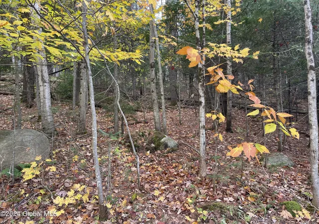 Homes for sale in Minerva, NY | L472 Mallon Rd, Minerva, NY 12857 | MLS# 202621274