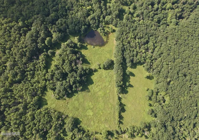15th image of 112 Earls Rd, Middleburgh, NY 12122 | MLS# 202621536