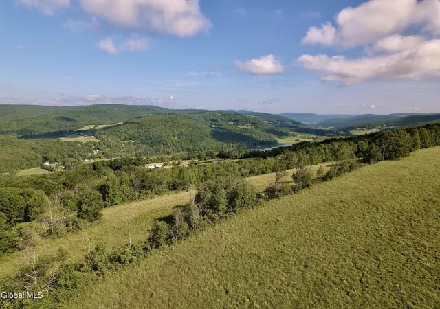 3rd image of 112 Earls Rd, Middleburgh, NY 12122 | MLS# 202621536