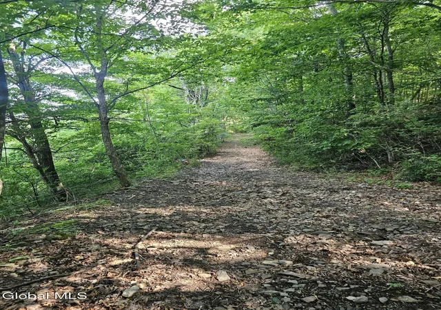 4th image of 112 Earls Rd, Middleburgh, NY 12122 | MLS# 202621536