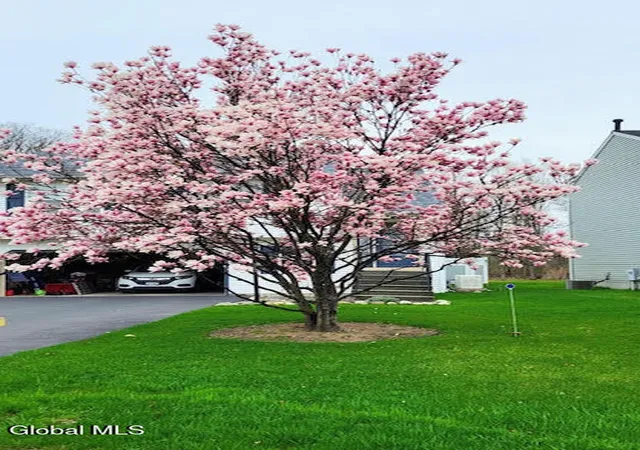 Photo 4 of Sale Pending at 1104 Regal Ct, Schenectady, NY 12302 | MLS# 202621571 | Listing updated on 2026-07-20