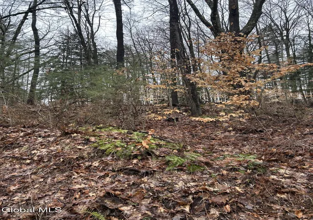Photo 3 of Land for sale at 27 S Copeland Pond Way, Fort Ann, NY 12827 | MLS# 202621590 | Listing updated on 2026-07-15