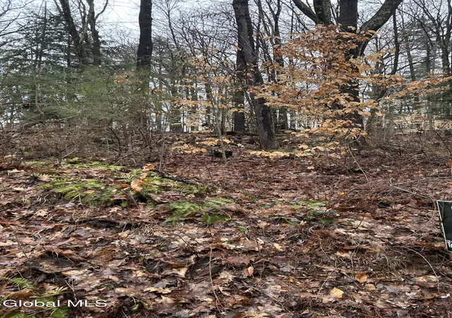 Photo 3 of Land for sale at 27 S Copeland Pond Way, Fort Ann, NY 12827 | MLS# 202621590 | Listing updated on 2026-07-15