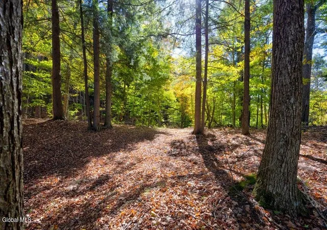5th image of L 5 Fox Hill Rd, Northville, NY 12134 | MLS# 202621632