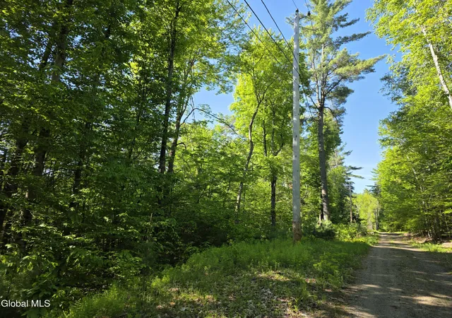 4th image of L5 Clearwater Lake Rd, Brant Lake, NY 12815 | MLS# 202621696