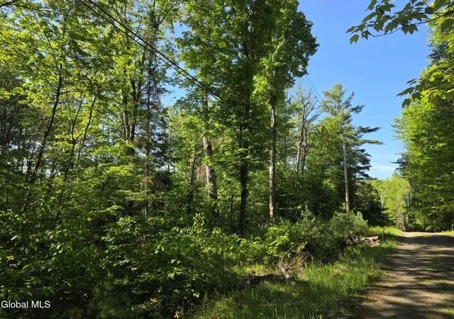 5th image of L5 Clearwater Lake Rd, Brant Lake, NY 12815 | MLS# 202621696