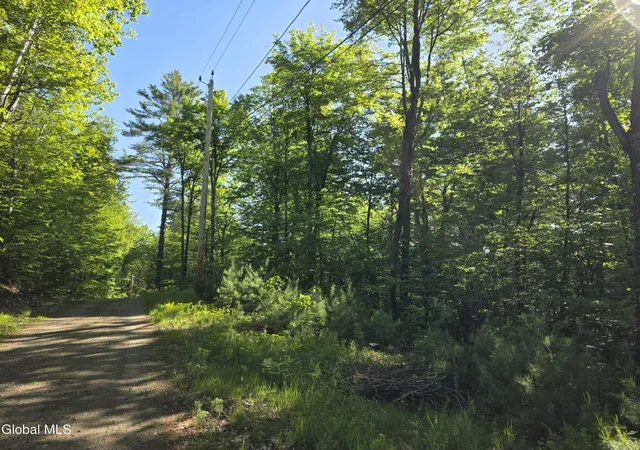 5th image of L6 Clearwater Lake Rd, Brant Lake, NY 12815 | MLS# 202621697