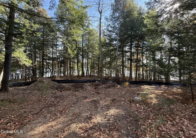 3rd image of 12 Teds Wy, Diamond Point, NY 12824 | MLS# 202621680