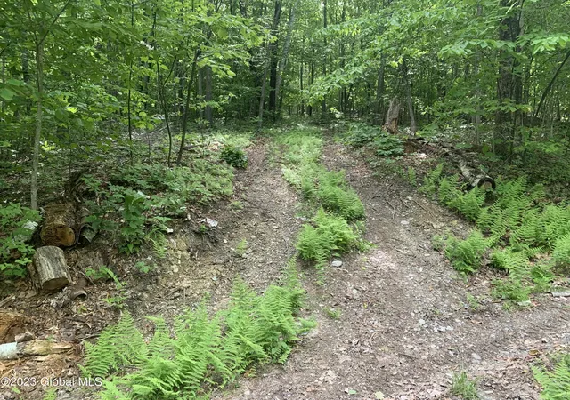 Photo 3 of Land for sale at 189 Covenant Cir, East Nassau, NY 12062 | MLS# 202621732 | Listing updated on 2026-07-21