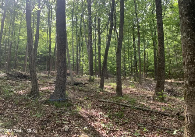 Photo 3 of Land for sale at 189 Covenant Cir, East Nassau, NY 12062 | MLS# 202621732 | Listing updated on 2026-07-21