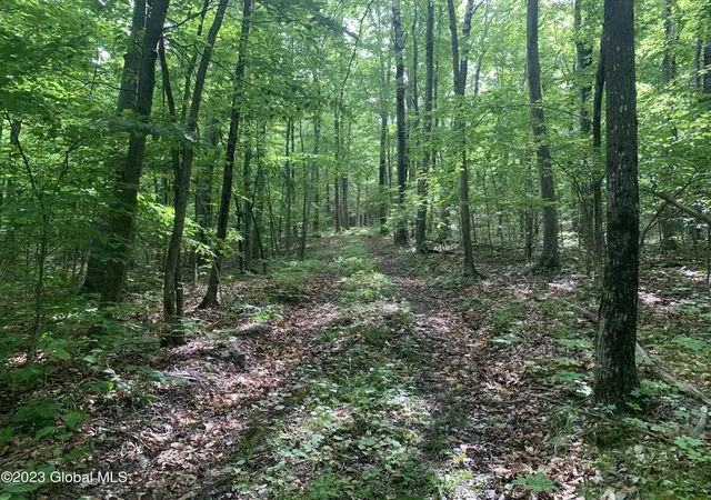 Photo 4 of Land for sale at 189 Covenant Cir, East Nassau, NY 12062 | MLS# 202621732 | Listing updated on 2026-07-21