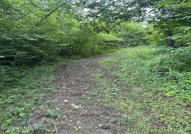 Photo 3 of Sale Pending at L 70 Richmond Rd, Malden Bridge, NY 12115 | MLS# 202623257 | Listing updated on 2026-10-09