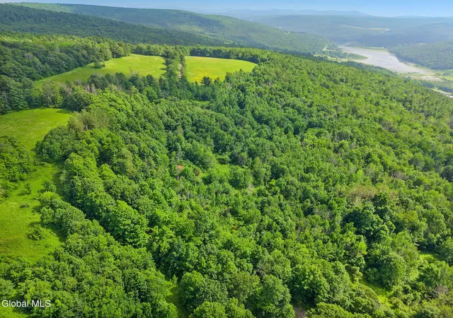 Photo 2 of Sale Pending at 00 Debar Hill Rd, Broome, NY 12122 | MLS# 202624913 | Listing updated on 2026-09-03