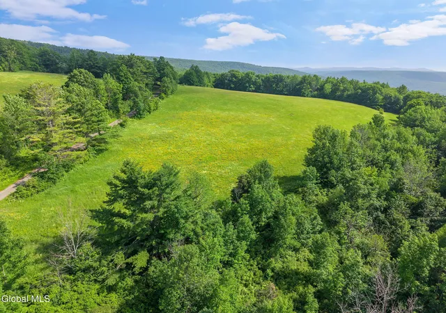 Photo 3 of Sale Pending at 00 Debar Hill Rd, Broome, NY 12122 | MLS# 202624913 | Listing updated on 2026-09-03