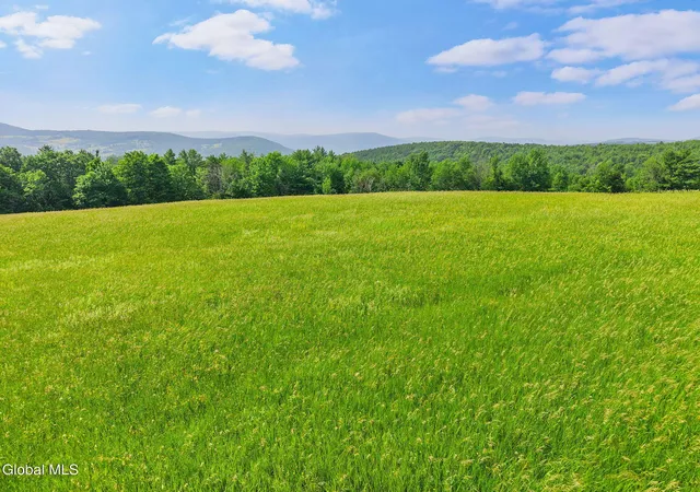 Photo 3 of Sale Pending at 00 Debar Hill Rd, Broome, NY 12122 | MLS# 202624913 | Listing updated on 2026-09-03