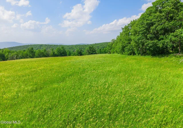 Photo 4 of Sale Pending at 00 Debar Hill Rd, Broome, NY 12122 | MLS# 202624913 | Listing updated on 2026-09-03