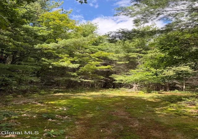 Photo 1 of Land for sale at 218 Irish Hl Rd, East Berne, NY 12059 | MLS# 202625117 | Listing updated on 2026-08-31