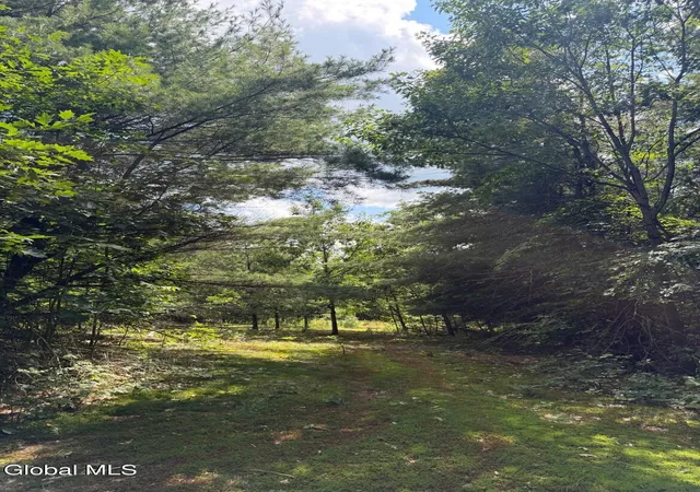 Photo 3 of Land for sale at 218 Irish Hl Rd, East Berne, NY 12059 | MLS# 202625117 | Listing updated on 2026-08-31