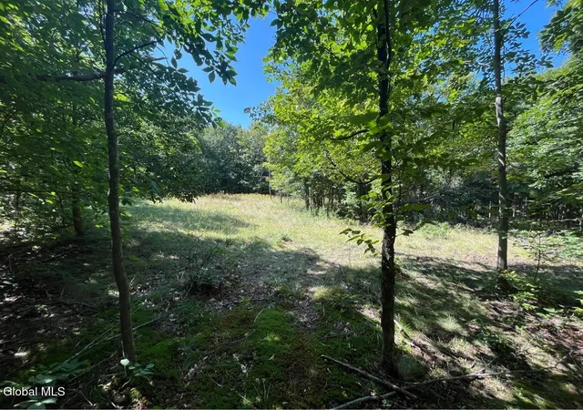 Photo 3 of Sale Pending at 192 Irish Hl Rd, East Berne, NY 12059 | MLS# 202625118 | Listing updated on 2026-09-08
